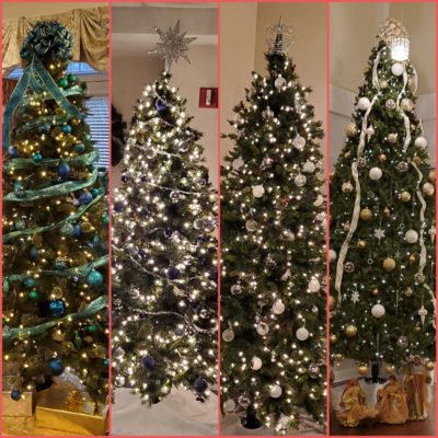 Christmas trees Plural!